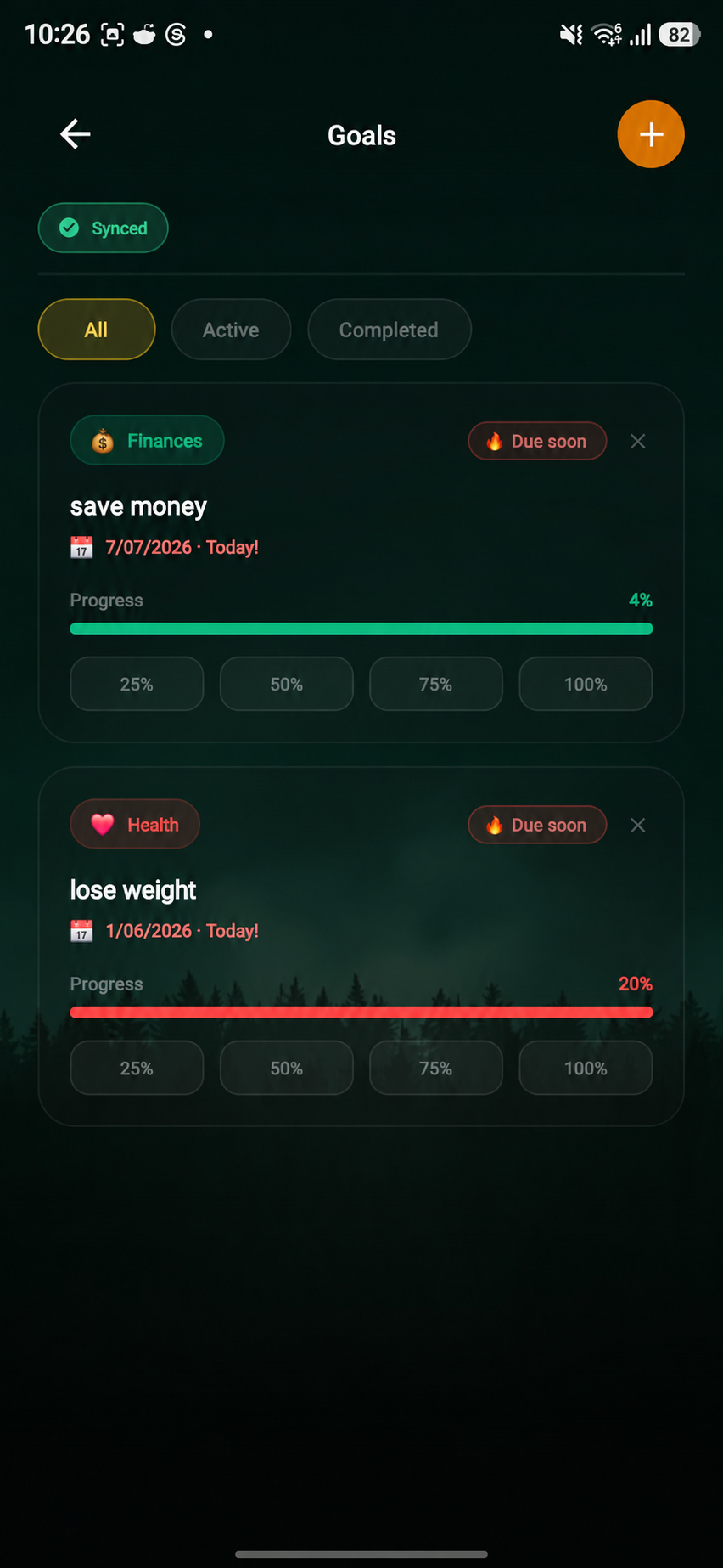 Tutaris goals organised by area, with deadlines and progress. Screen translated into English.